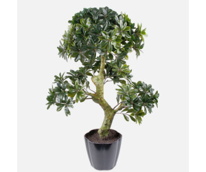 Dirbtinis augalas BONSAI